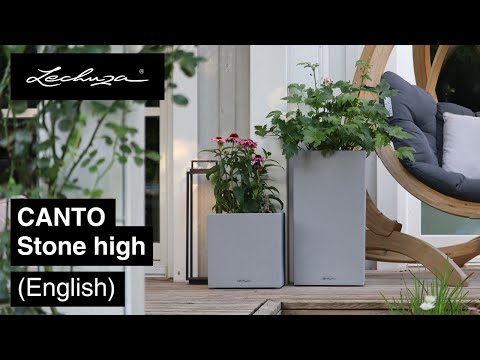 CANTO Stone high | LECHUZA | English