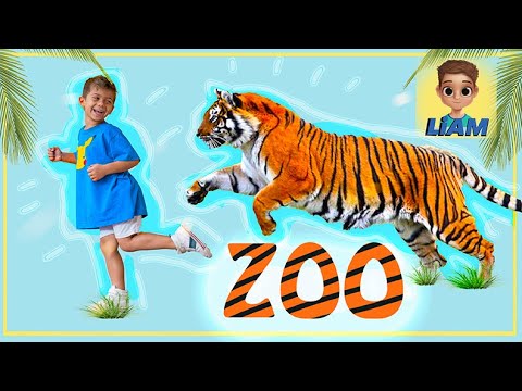 LiAM GOES TO THE ZOO ! | TRIP TO THE ZOO | LEARN ABOUT ANIMALS #howtokids #youtubekids