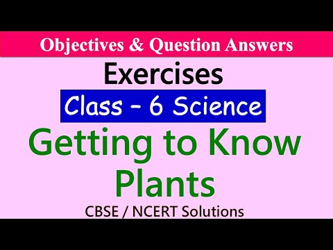 Getting To Know Plants | Class 6 - Science | Objectives and Exercises | Sprint for Exams | NCERT