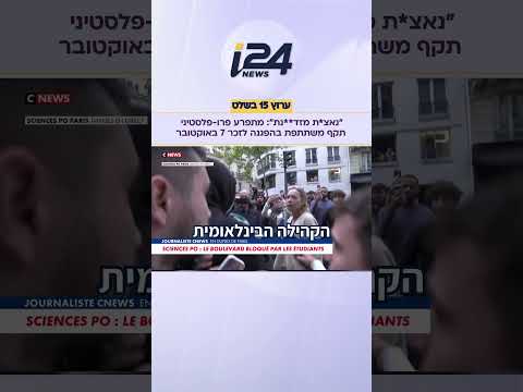 מתפרע פרו-פלסטיני תקף באלימות משתתפת בהפגנה לזכר 7 באוקטובר