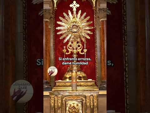 💼 Dios, Bendice Mi Trabajo y Mis Esfuerzos #oracionescatolicas #Trabajo #ProvidenciaDivina #milagros