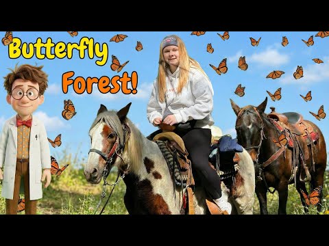Assistant Finds a Hidden Forest! Exploring the Secret Monarch Butterfly Forest
