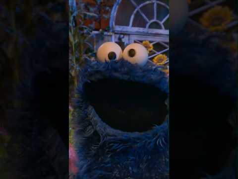 The Biggest Bowl of Spaghetti Ever! 🍝 #sesamestreet