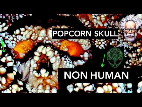 Non Human trapped in ROCK