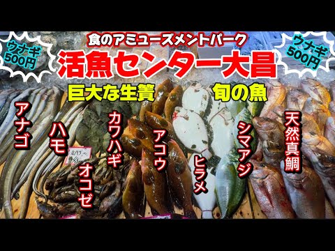 【活魚センター大昌】ウナギが500円😳✨巨大な生簀はまるで水族館‼️食のアミューズメントパーク大昌