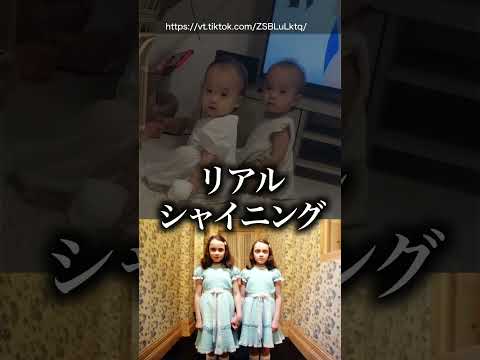 【替え歌】キッズの動画で笑ったら負けwww［16］#ほーみーず  #あるある  #珍事件  #放送事故  #替え歌
