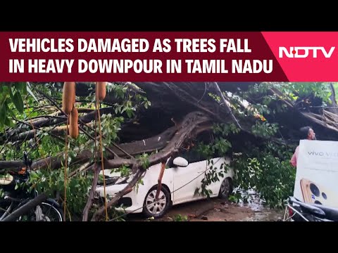 Tamil Nadu Rains | Vehicles Damaged As Trees Fall In Heavy Downpour In Tamil Nadu