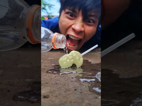 Be angry, the important thing is that the millipede comes to the lollipop and dances together