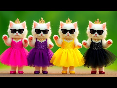 बिल्ली  डांस,💃| Cutest Cat videos funny dance 🤣 💃 Videos for cats #funny #dancingcat #cat #kitten