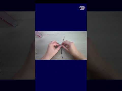 DIY Spider Web – Easy Halloween Craft for Kids!