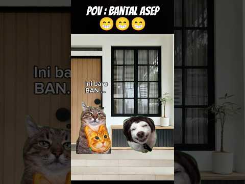 Pov : Bantal Asep 😁 #meme #cat #kucing #kucinglucu #funny #animation