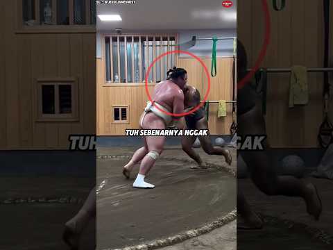 Sumo itu Menyimpan Kebenaran Tersembunyi di Balik Tubuh Besarnya