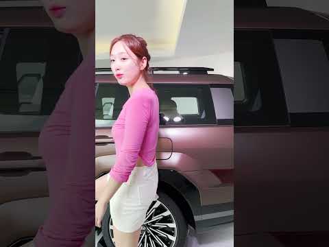 풀체인지 싼타페 MX5의 히든 기능! #쇼츠