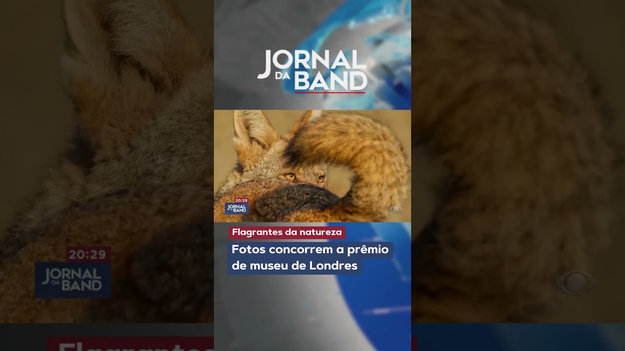 Fotos da natureza concorrem a prêmio de museu de Londres