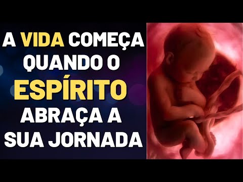 EM QUAL MOMENTO O ESPÍRITO SE LIGA AO FETO? I Canal Espírita Responde #146