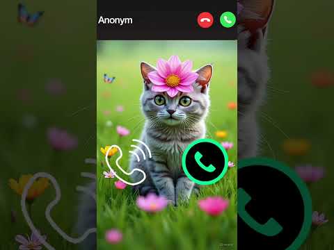 Cute Cat Calling 😁#ringtone #cat #gato #babygirl #youtubeshorts #catlovers #viralvideo #mi #shorts
