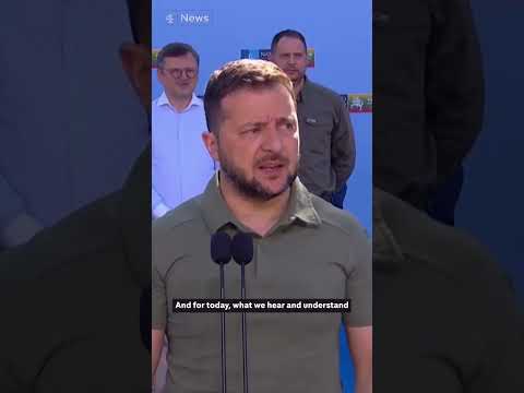 Zelenskyy: What Ukraine wants from Nato summit
