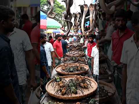 #wildanimals sold in market