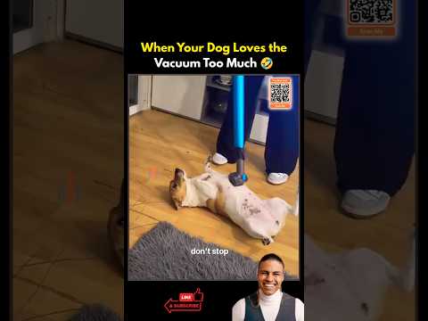 POV: Your Dog Thinks the Vacuum Is a Massage Machine 🤣 #dog #funnydogs #animalvideos #cutedog