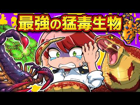【危険】地球最強の猛毒生物4選【アニメ】【マンガ】