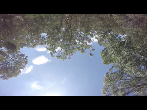 FPV - what I do - UC_ln1TA-w4bahRI7yN0TcJA