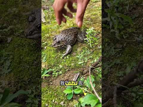 فوضى الصباح في الحمّام… والأب فقد أعصابه 😂