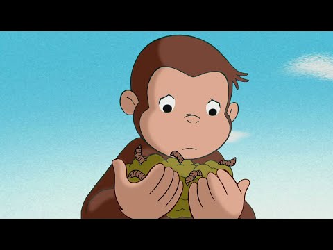 土の中で暮らすとは？ 🐵 おさるのジョージ