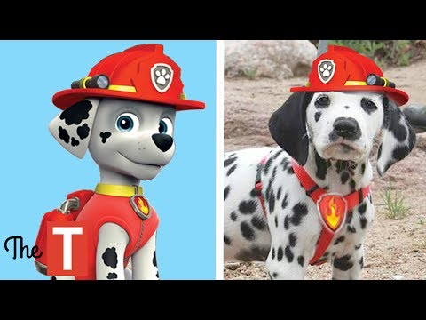 10 PAW PATROL Dogs In Real Life - UC4qGmRZ7aLOLfVsSdj5Se2A