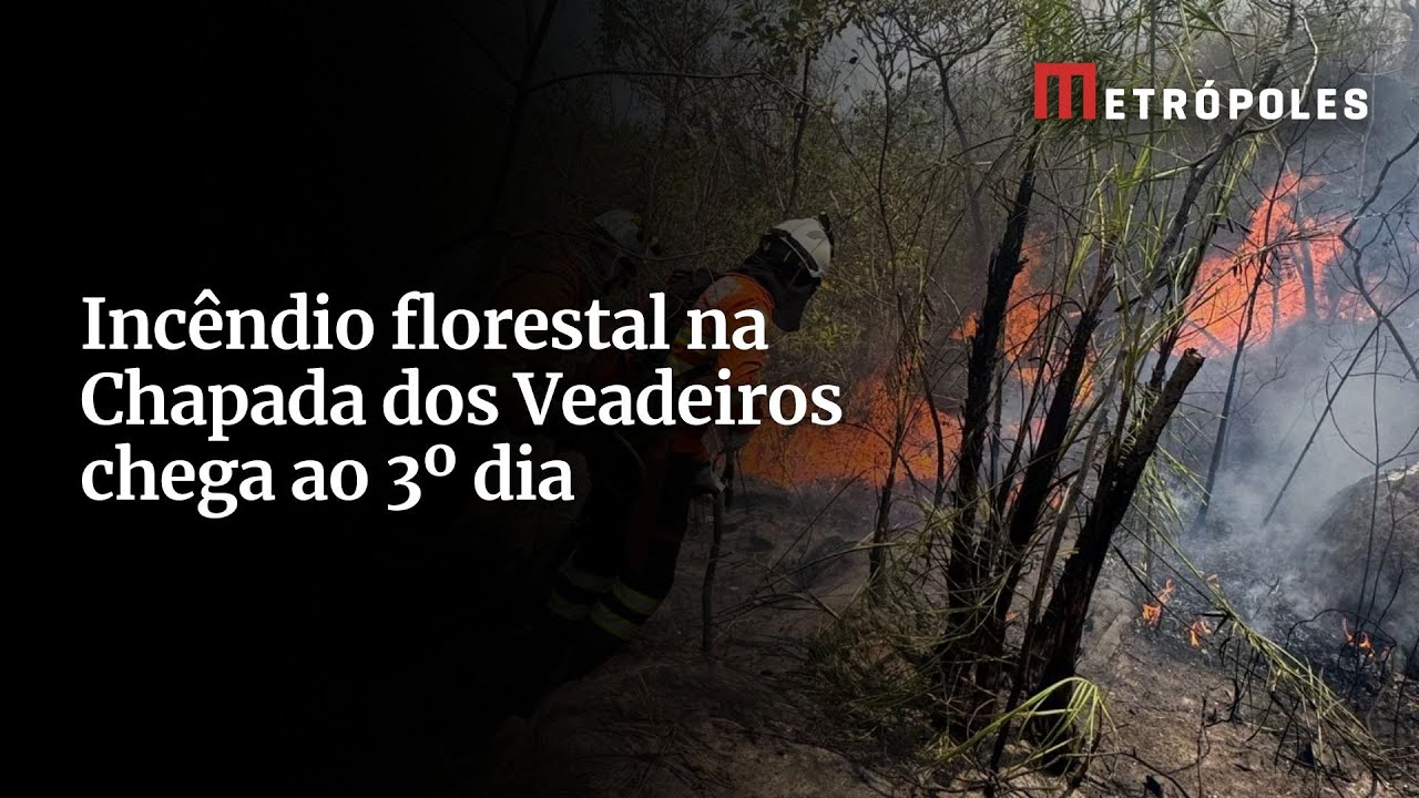 Incêndio florestal Chapada dos Veadeiros pega fogo há 3 dias