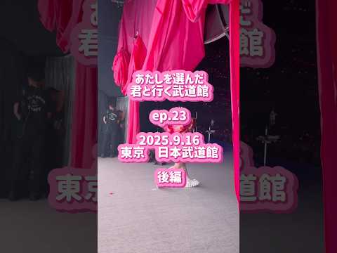 あたしを選んだ君と行く武道館 ep.23 後編 武道館編ついに完結です♡ #あたきみツアー #コレサワ #武道館 #人生