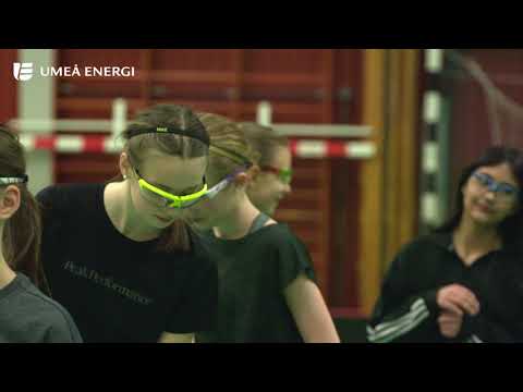 GUIF - Årets mest hållbara förening 2019