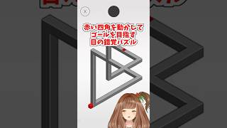 hocusの錯覚パズル、1分で解ける？挑戦してみて！【hocus.】【stage16】