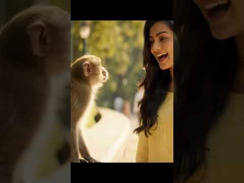Kya tum mojse Dosti karu ge #funnyshorts #funny #aivideo #monkey #girl