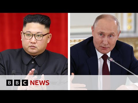 Ukraine war: Kim Jong Un to meet Vladimir Putin in Russia - BBC News
