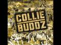 Collie Buddz - SOS [Kofi Kingston Theme] Full Version