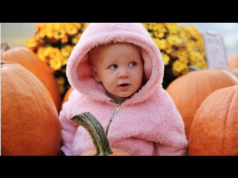 Pumpkin Patch FAIL - UCtinbF-Q-fVthA0qrFQTgXQ