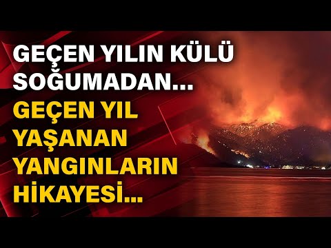 Geçen yılın külü soğumadan… Geçen yıl yaşanan yangınların hikayesi.