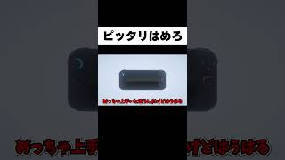Switch2に取り憑かれたオタクの最終形態 #Shorts
