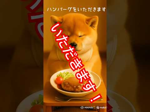 いただきますシリーズ②🐶🍚ぽっちゃり柴犬もふまるの日常🐶 #柴犬 #癒し #癒し動画 #かわいい #おもしろ #dog #shibainu