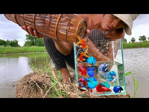Wew cool boy use hand to catch betta fish in public lake