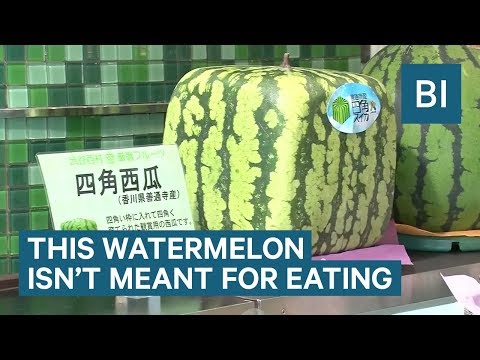 People In Japan Pay $150 For This Square Watermelon - UCcyq283he07B7_KUX07mmtA