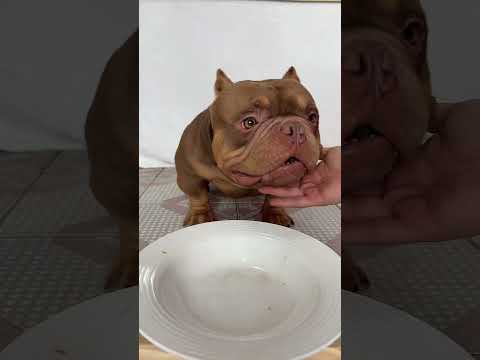 #万物可爱计划 #记录和它的每个夏天 #声控 #asmrfood