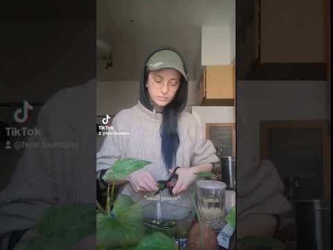 #foodsecurity #ARFID #awareness #alive  #strongertogether