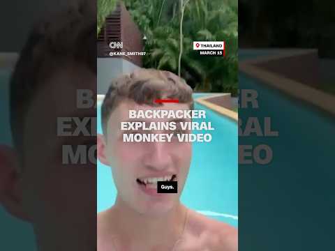 Backpacker explains viral monkey video