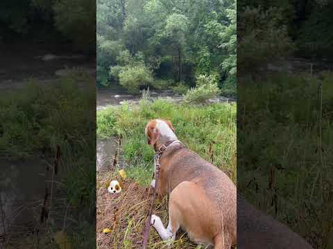 Have a great weekend