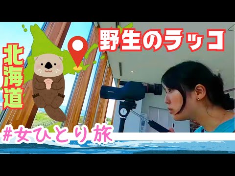 【北海道女子ひとり旅】野生のラッコ探しに来たら最高だった！！