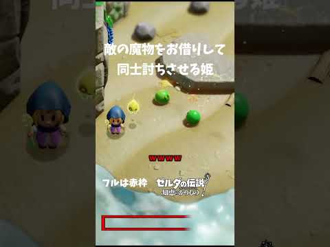 この姫、敵視点で見たら災厄すぎるな...｜#ゲーム実況 #なみすけ #ゼルダの伝説