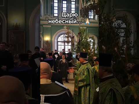 ЦАРЮ НЕБЕСНЫЙ. АНДРЕЕВСКИЙ СОБОР, СТАВРОПОЛЬ. МИТРОПОЛИТ КИРИЛЛ. МУЖСКОЙ ХОР. СТДС.