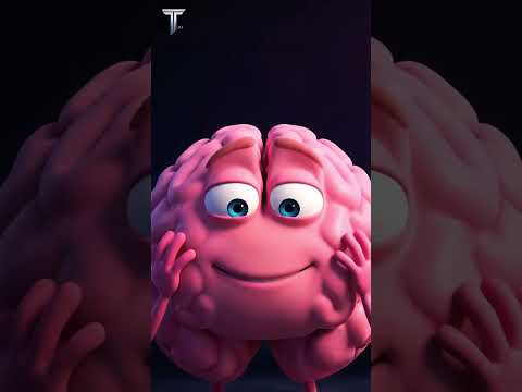 Tiếng "E E E" Trong Tai Không Dứt? Ngươi Đang Bị "Bóng Ma Ù Tai" Ám Đấy!