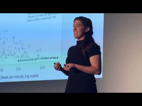 The citizen science revolution | Leesa Ricci | TEDxSUU - UCsT0YIqwnpJCM-mx7-gSA4Q